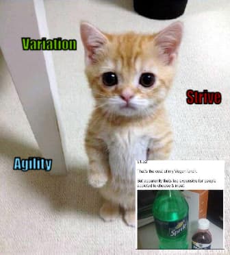 DAC Meme #24